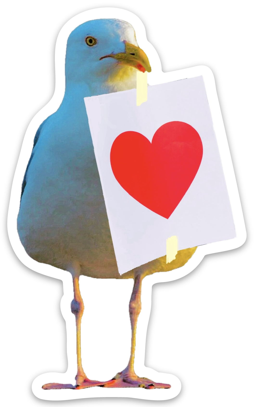 "Patrick The Seagull, ?? Valentine's Bandit Sticker"